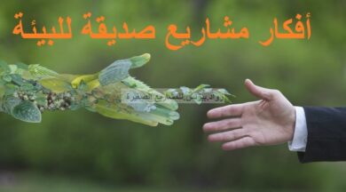 0554c70f23 1024x683 1