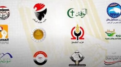 Egyptian parties 2