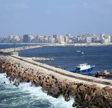 images 20