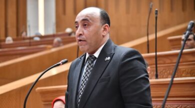 النائب حسام حسن