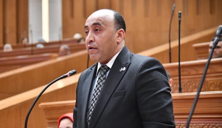النائب حسام حسن