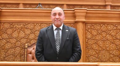 حسام حسن