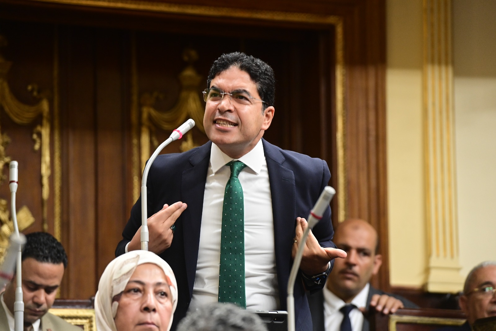 ضياء الدين داود
