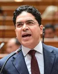 ضياء داود