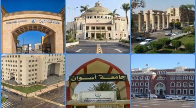 الجامعات الحكومية في مصر الدليل الشامل