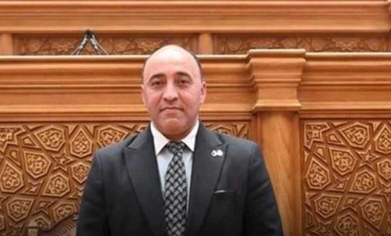 النائب حسام الخشت