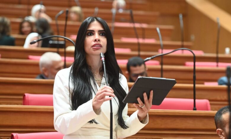 هايدي المغازي