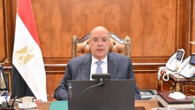 المستشار هشام بديوي رئيس مجلس النواب