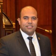 هشام الهمامي