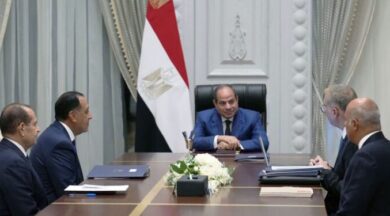السيسي