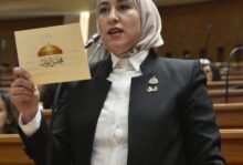 النائبة صافيناز طلعت