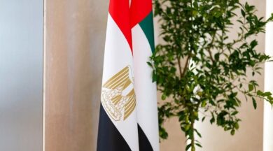 العلاقات المصرية والاماراتية تشهد تعاونا استراتيجيا على مدار سنوات عدة
