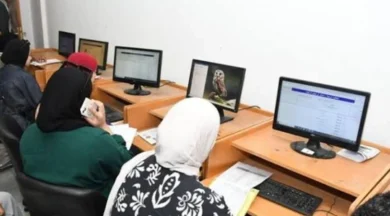 التعليم العالي تعلن نتائج تنسيق الشهادات المعادلة العربية والأجنبية