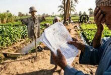 «فن صناعة الفدانات الوهمية».. كيف تحول الـ 14 قيراطًا إلى 25 فدانًا بغمضة عين؟