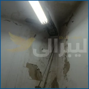 بالصور قصر ثقافة غزل المحلة من منارة الإبداع الي مكان غير صالح للادمية