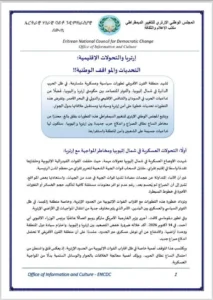 المجلس الوطني الإريتري يحذر من حرب جديدة مع إثيوبيا .. البحر الأحمر والسيادة في قلب التصعيد