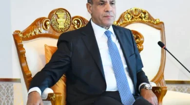 بدر عبد العاطي وزير الخارجية المصري