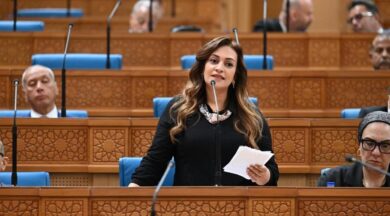 النائبة إيفا فارس