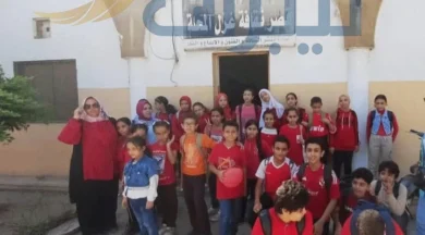 قصر ثقافة غزل المحلة