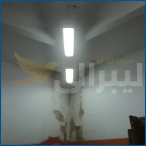 بالصور قصر ثقافة غزل المحلة من منارة الإبداع الي مكان غير صالح للادمية