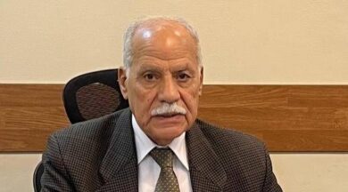 النائب الدكتور محمد أبو العلا