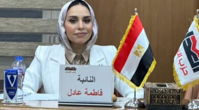 فاطمة عادل: سنضغط لمناقشة قانون للأحوال الشخصية بأسرع وقت.. وصفعة الرضيع على وجه كل المصريين